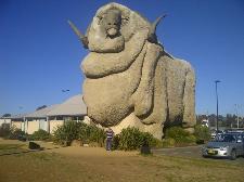 Big Brute Vacuum Cleaners in Sheep Country